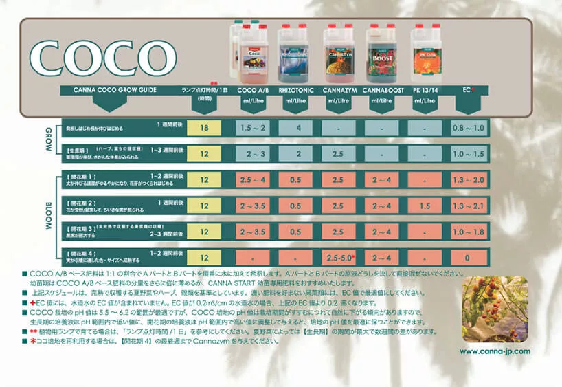 canna-coco-canna-japan