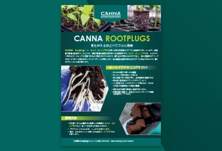 CANNA Rootplugs leaflet